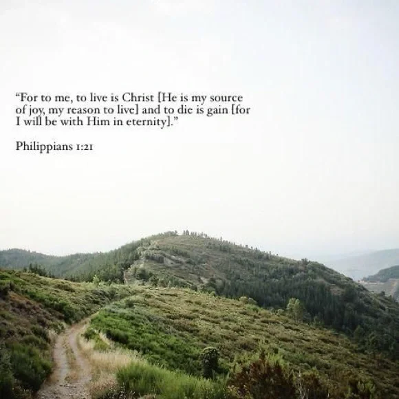 Hello! - Picture 5 of 5